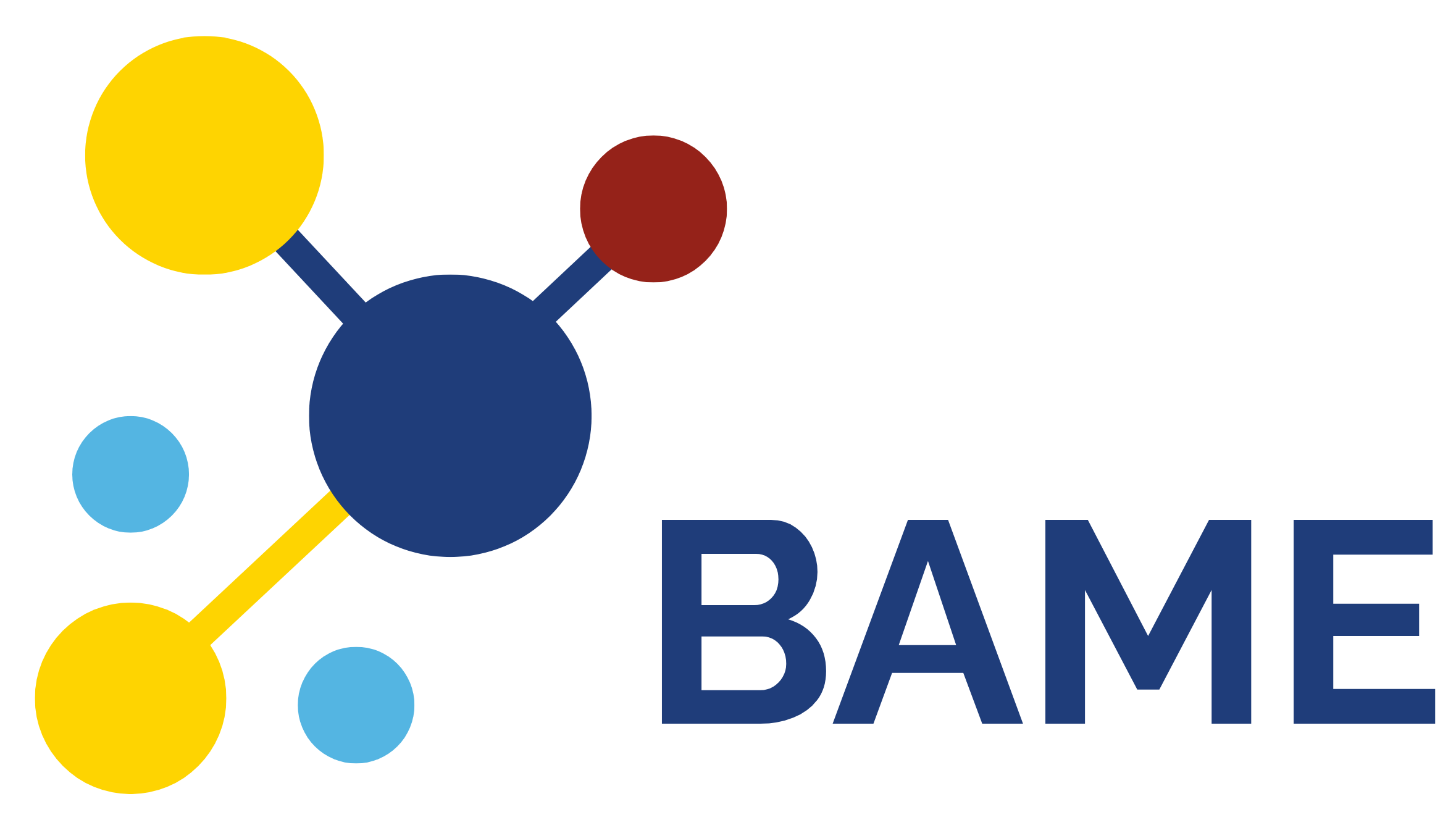 BAME logo